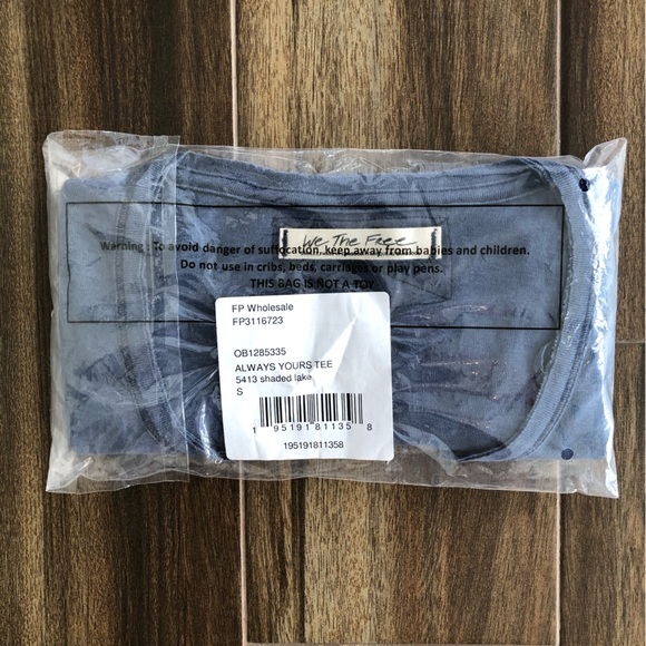 NWT Free People/We The Free Always Yours Tee in Shaded Lake (Blue) - Picture 10 of 11